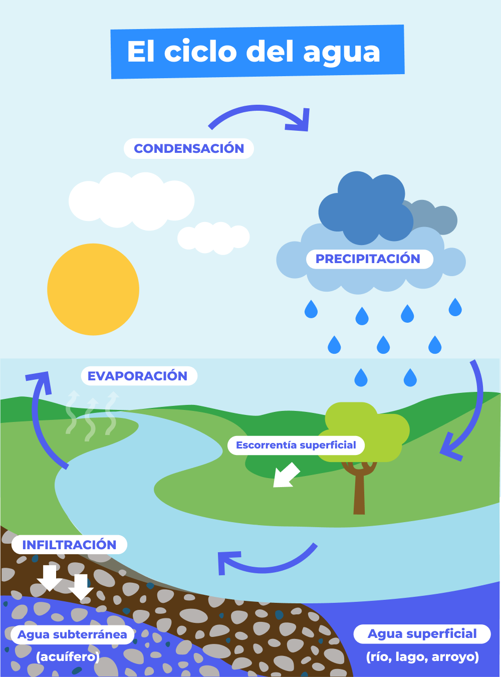 Ciclo Del Agua Dibujo Explicación Y Pdf Para Descargar 9823